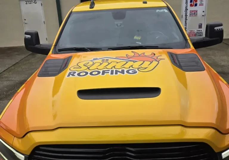 Car-Sunny-2